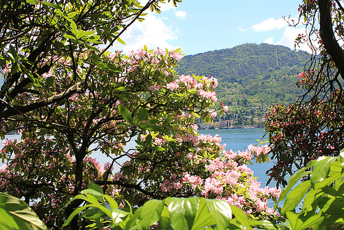 Park Villa Carlotta