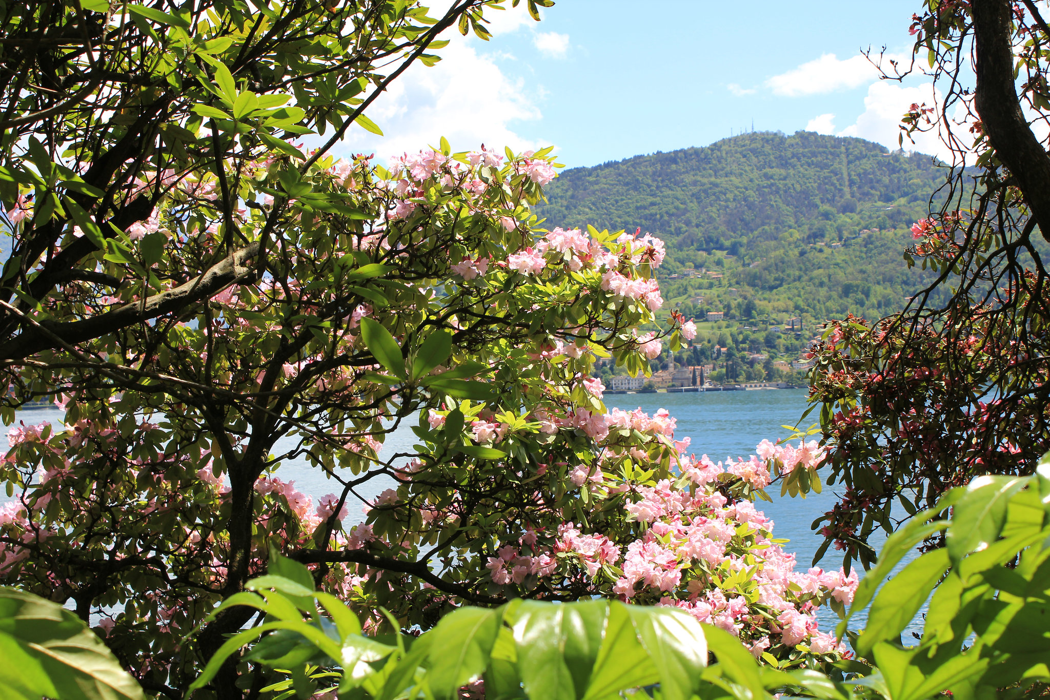 Park Villa Carlotta
