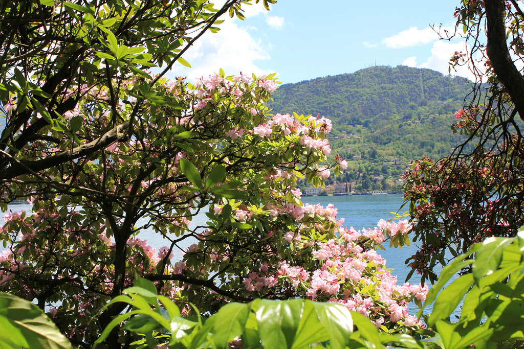 Park Villa Carlotta