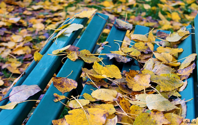 l'automne en bleu