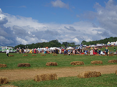 Pennsic 107