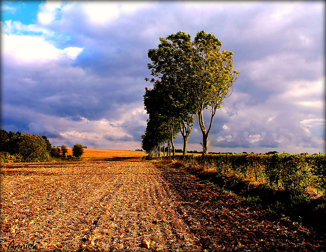 début d'automne