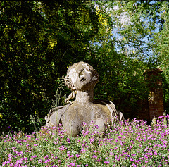 St Paul's Walden Bury (11)