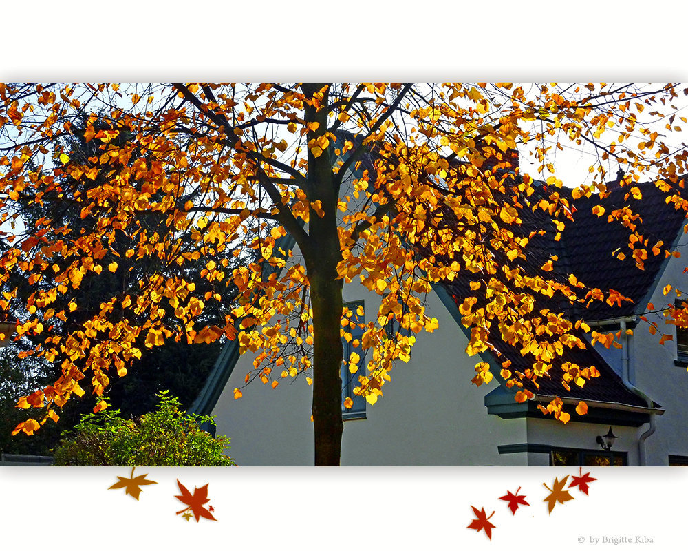Herbstgold
