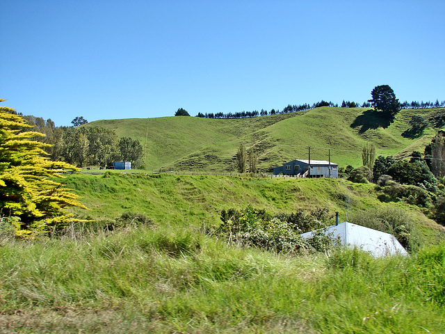 Bay of Plenty landscape