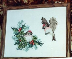 Common Redpolls - 1993