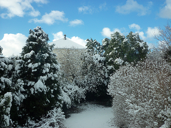 My driveway on a crisp winter's morning