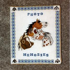 Painted Ponies Photo Album