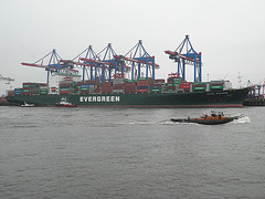 Containerschiff   EVER SALUTE