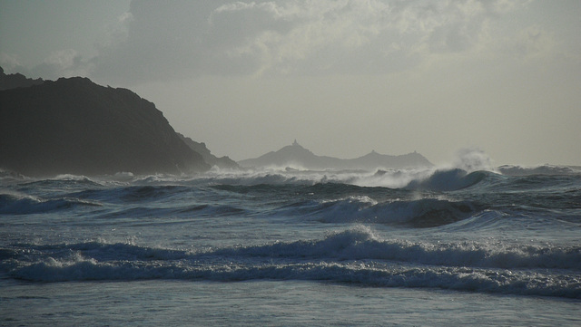 acqua ci bella