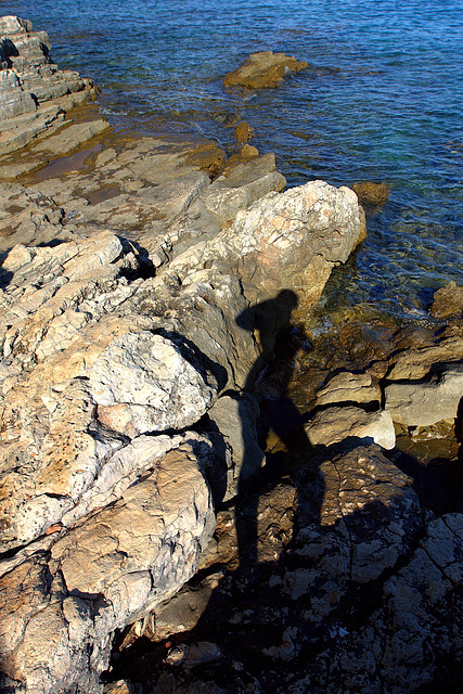 L'ombre de l'autoportrait