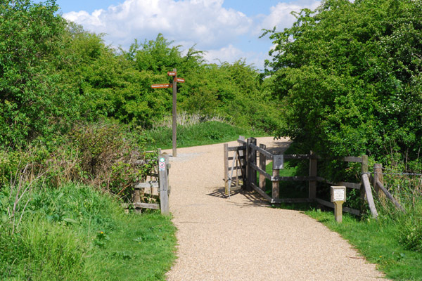 Entering Sewardstone Marsh nature reserve