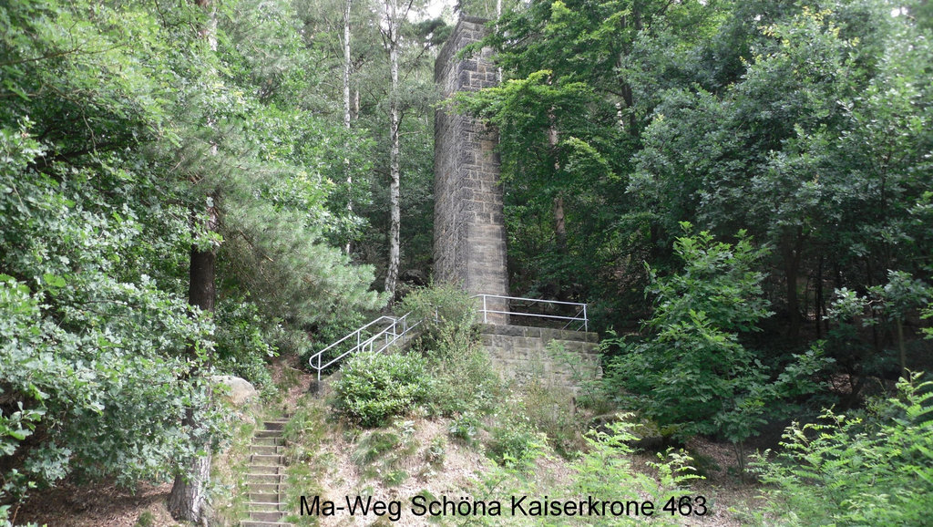 SDC13714