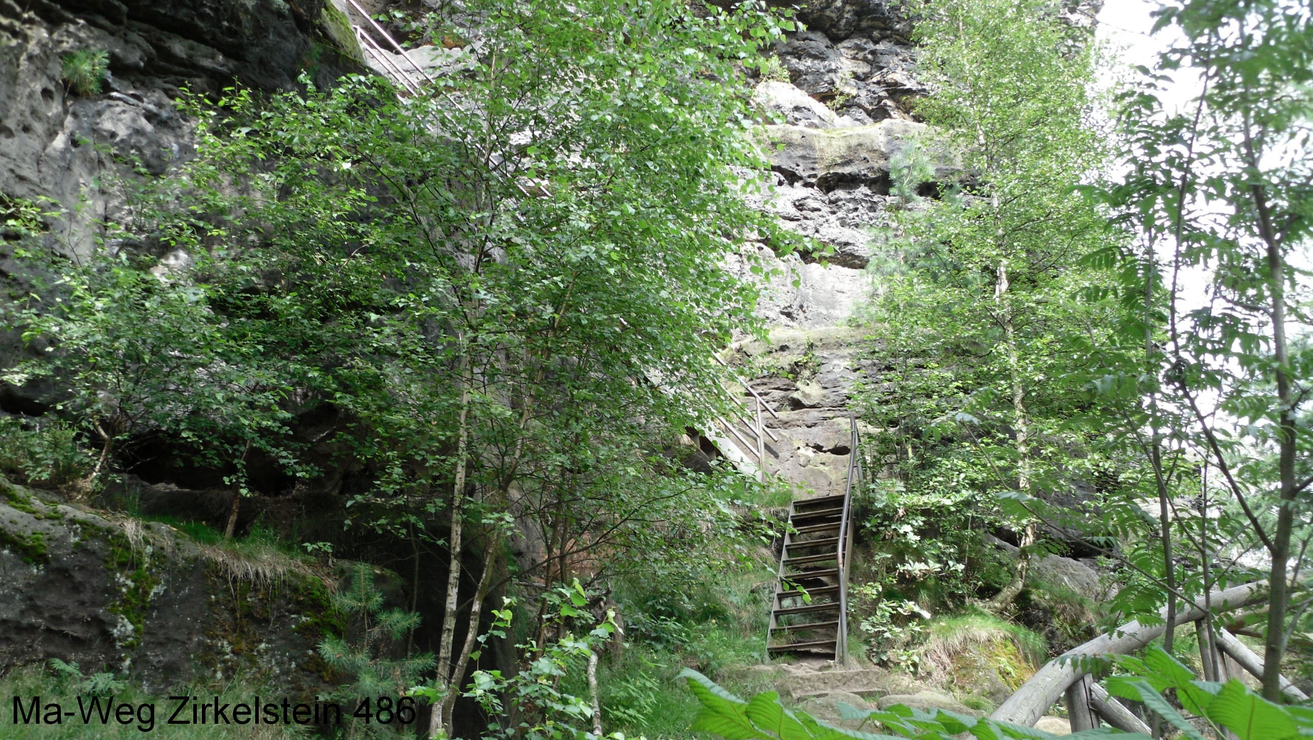 SDC13748