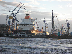 Containerschiff  GLASGOW EXPRESS
