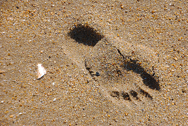 On a marché sur la dune