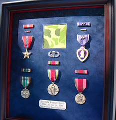 Some of Francis Snell's Medals (3389)