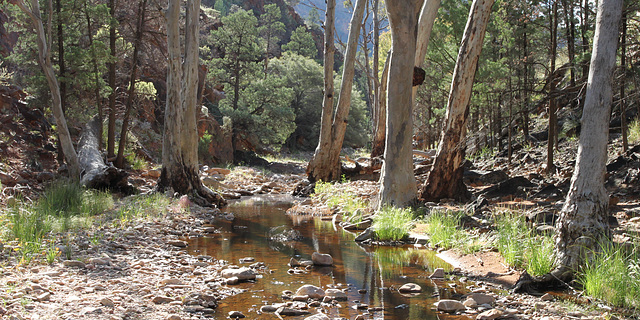 Gammon Ranges gorge