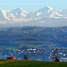 Panorama des Alpes bernoises...