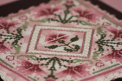 Pink Carnations Box (close up) 11/8/08