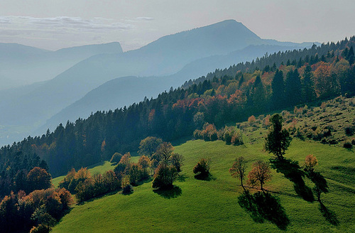 Sur les pentes du Jura...