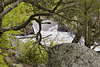 Olmsted Island