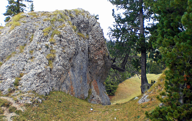 Auf der Seiser Alm