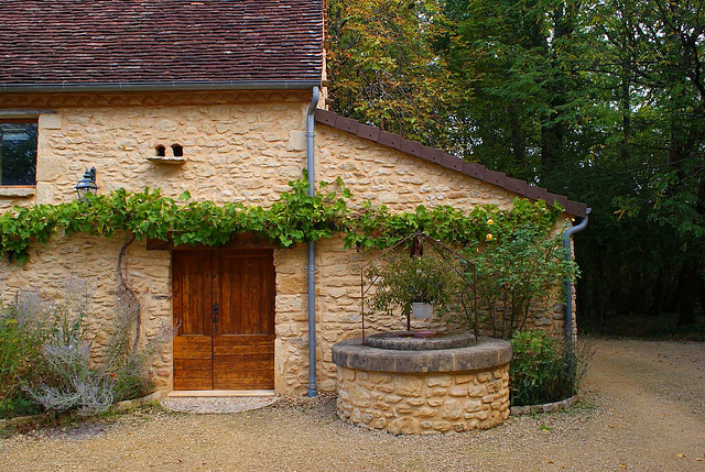 St-Chamassy vigne grimpante sur les murs du loft