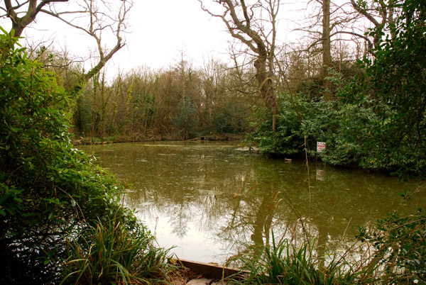 Forty Hall Fishery