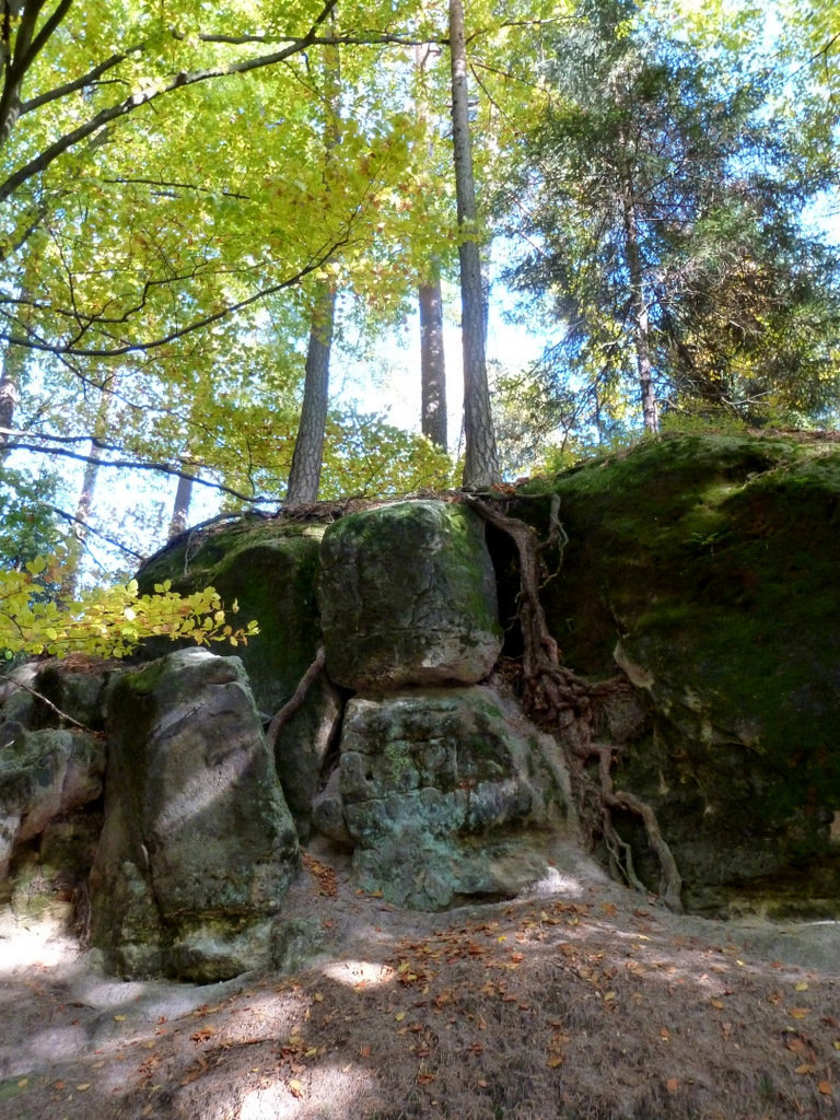 Hinterhermsdorf - Wanderung zur Oberen Schleuse