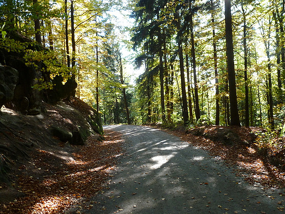 Hinterhermsdorf - Wanderung zur Oberen Schleuse