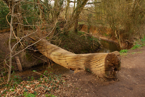 Natural bridge