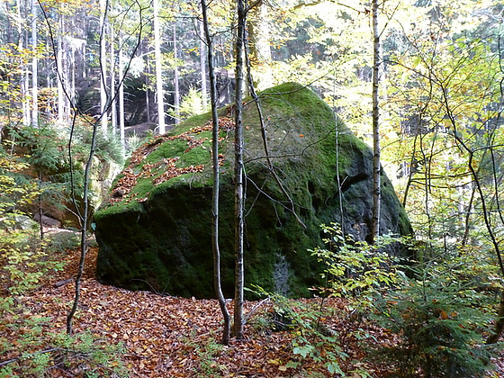 Hinterhermsdorf - Wanderung zur Oberen Schleuse