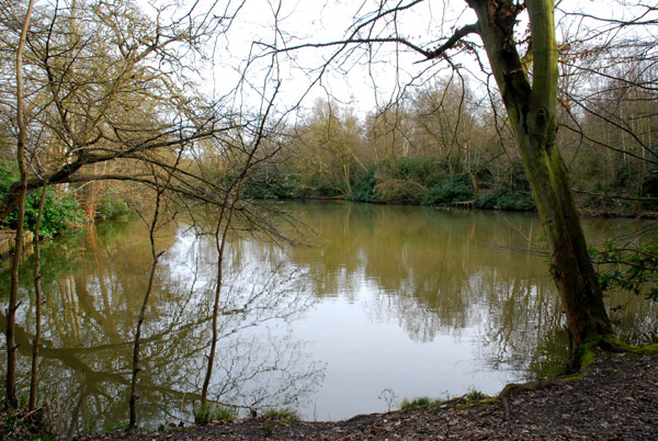 Forty Hall Fishery