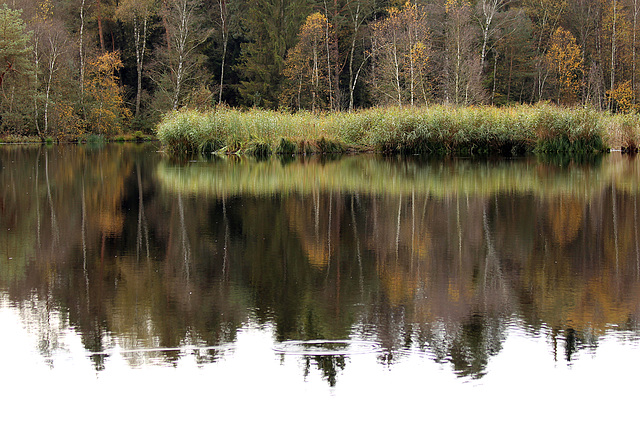 Moorsee - Hund´sche Weiher