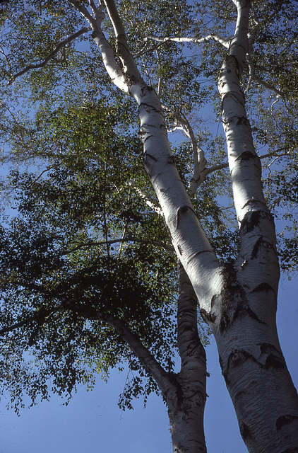 Breathe that crisp spring air!