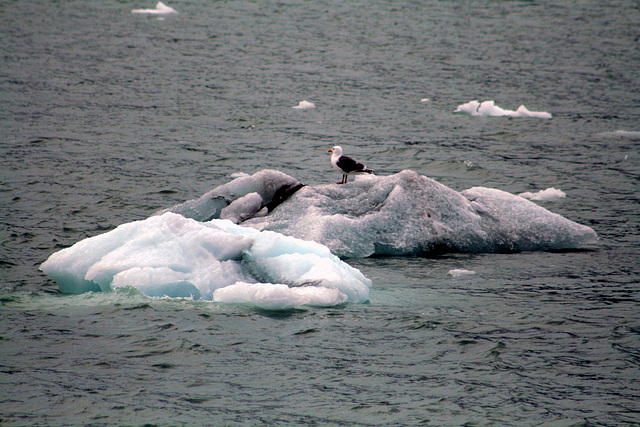 Day 9: Ridin' the bergs