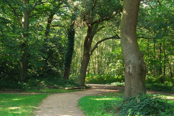 Entering Putney Heath