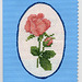 Mothers Day Rose Card 5/11/06
