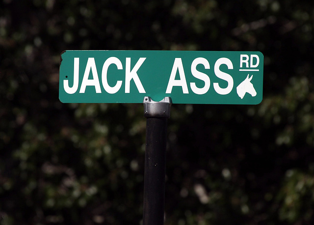 Jack Ass Rd?