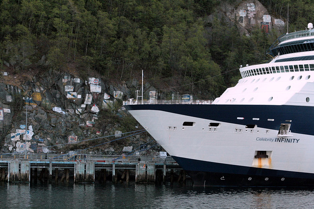 Day 10: The Celebrity Infinity