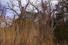 The End of the Road – Hooper Islands, Maryland