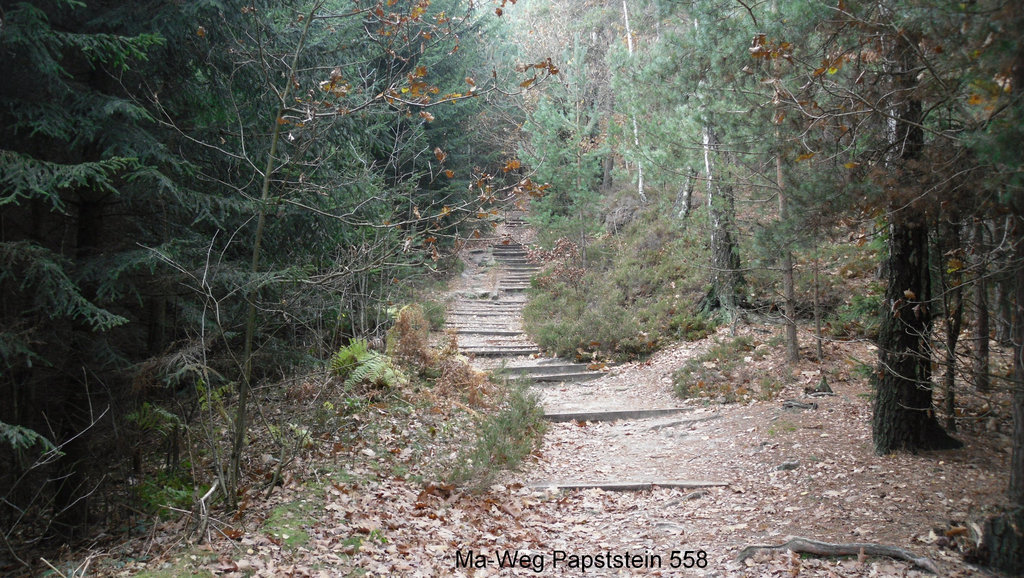 SDC14899