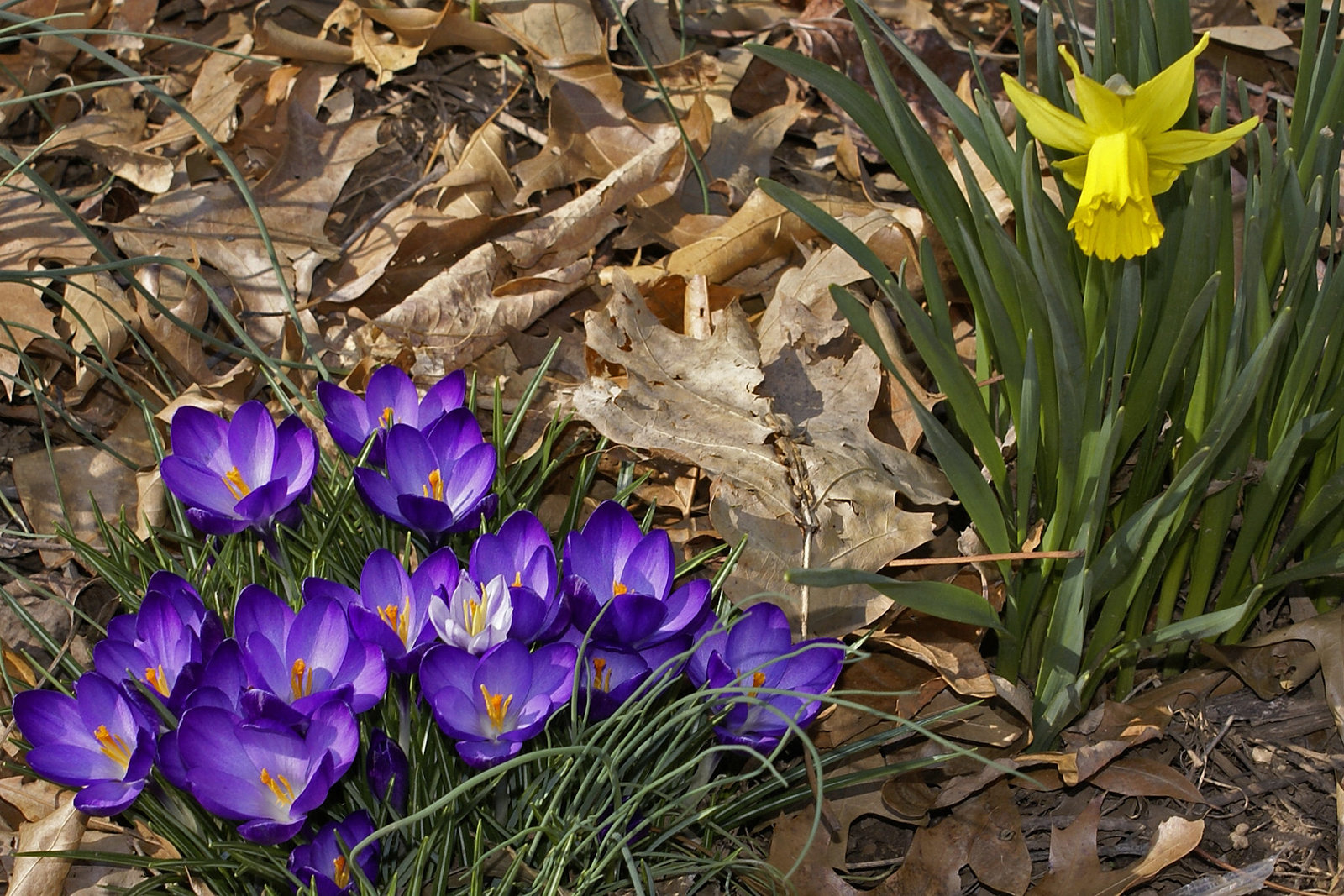 Spring has Sprung
