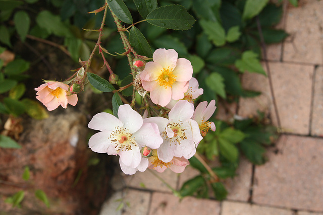 bonne journée à tous !!!