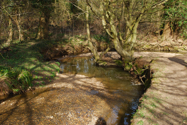 Turkey Brook