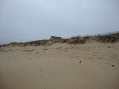 DSC00469