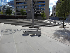 DSC00300