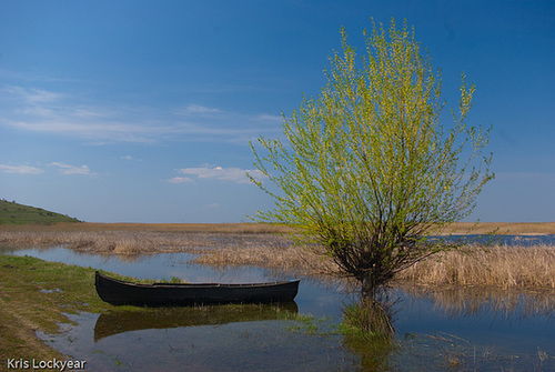 Romanian Boat-1