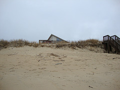 DSC00468